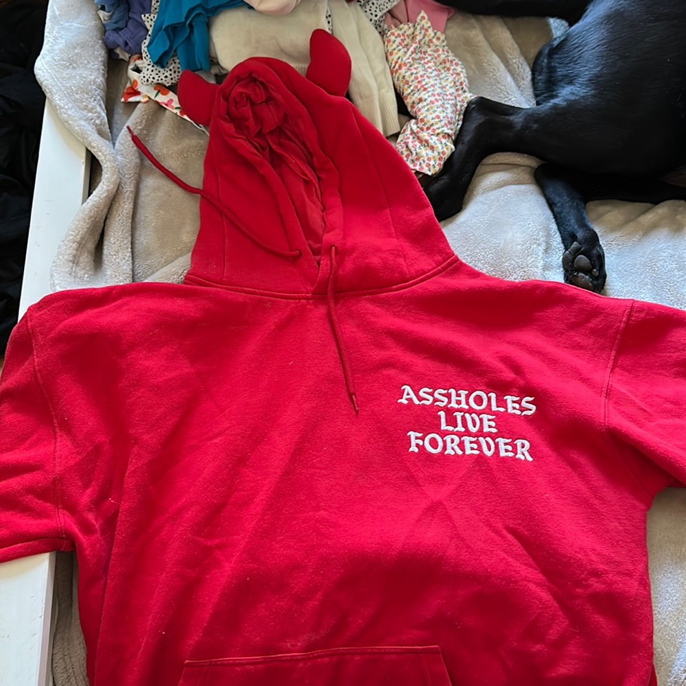 Assholes live forever horns hoodie